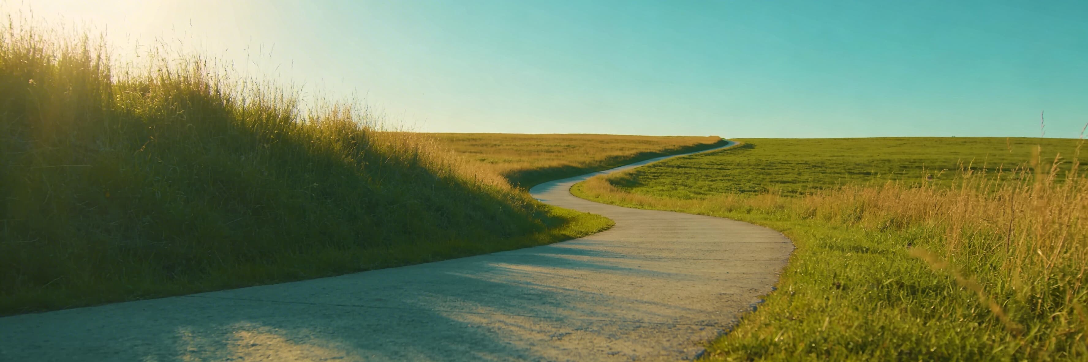 Sunlit meadow path representing the Al-Anon recovery journey — Al-Anon Daily Paths