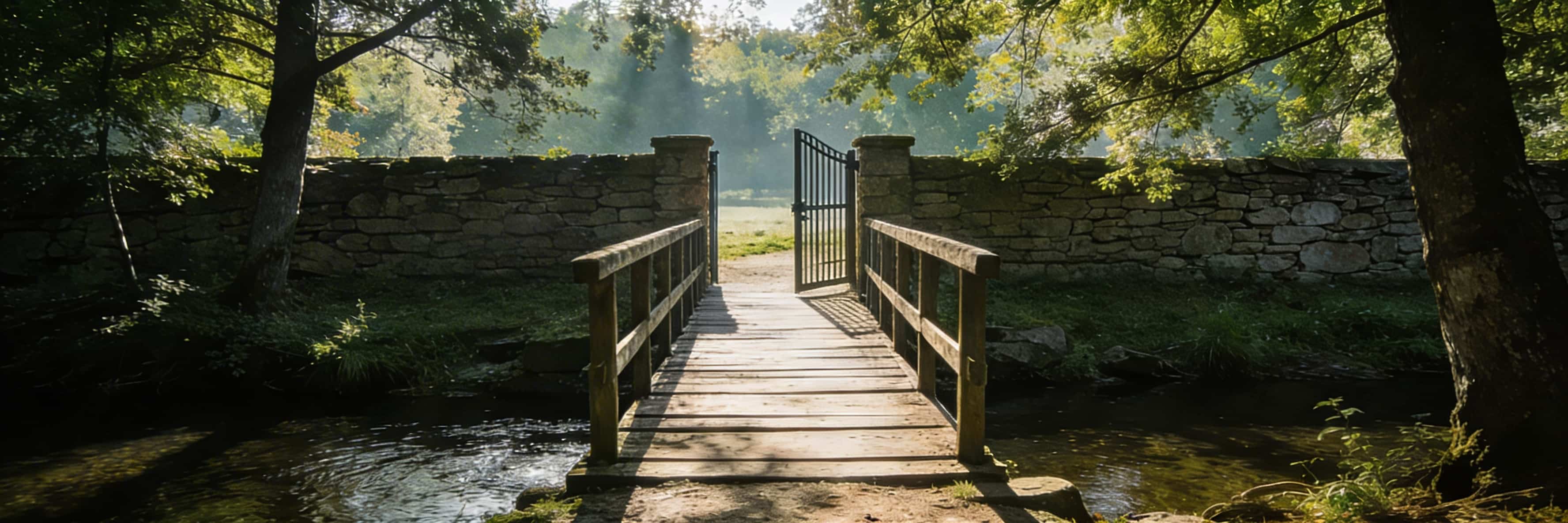 Ocean path at sunrise — The Al-Anon Program